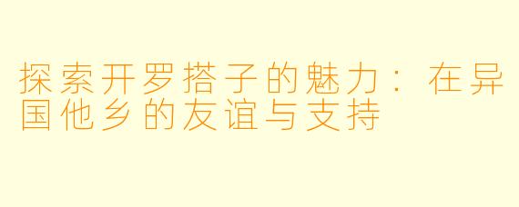 探索开罗搭子的魅力：在异国他乡的友谊与支持