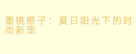 墨镜搭子:夏日阳光下的时尚新宠