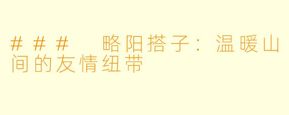 ### 略阳搭子:温暖山间的友情纽带