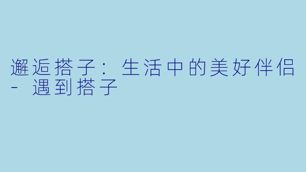 邂逅搭子：生活中的美好伴侣-遇到搭子