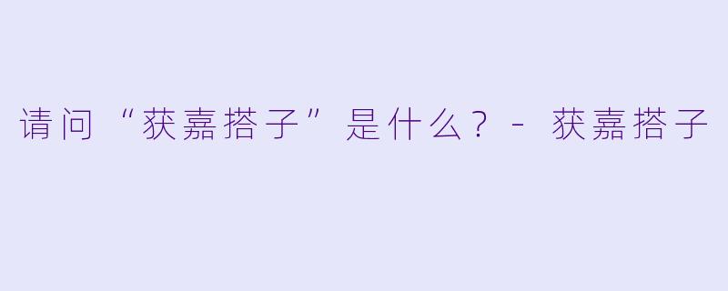 请问“获嘉搭子”是什么？