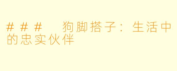 ### 狗脚搭子：生活中的忠实伙伴