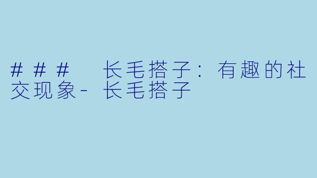 ### 长毛搭子：有趣的社交现象-长毛搭子