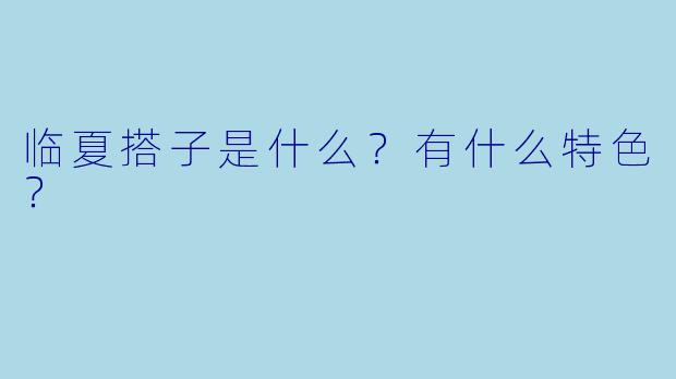 临夏搭子是什么?有什么特色?