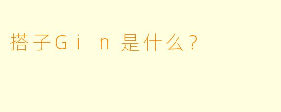 搭子Gin是什么？