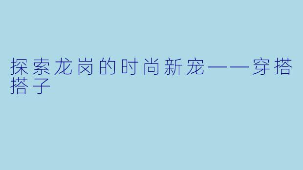 探索龙岗的时尚新宠——穿搭搭子
