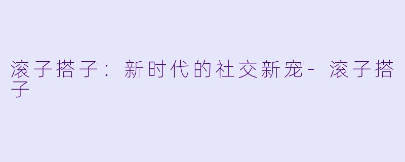 滚子搭子：新时代的社交新宠-滚子搭子