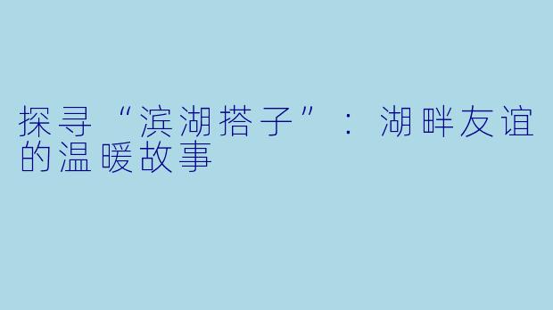 探寻“滨湖搭子”：湖畔友谊的温暖故事