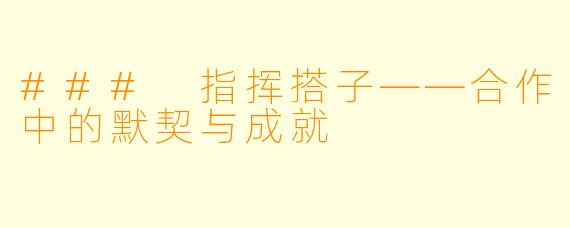 ### 指挥搭子——合作中的默契与成就