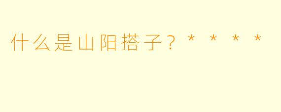 什么是山阳搭子？****