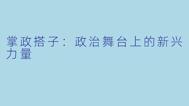 掌政搭子：政治舞台上的新兴力量
