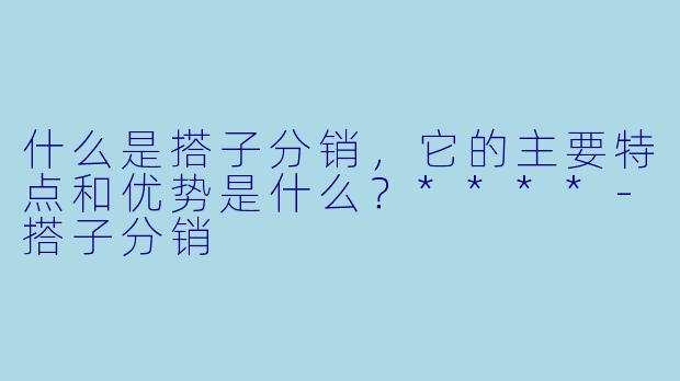 什么是搭子分销,它的主要特点和优势是什么?****