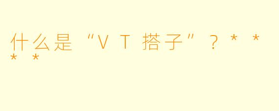 什么是“VT搭子”？****