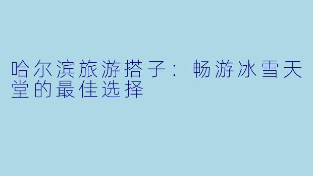 哈尔滨旅游搭子：畅游冰雪天堂的最佳选择