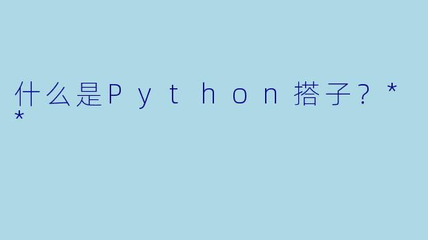 什么是Python搭子?**