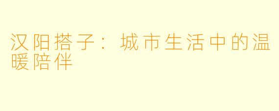 汉阳搭子：城市生活中的温暖陪伴
