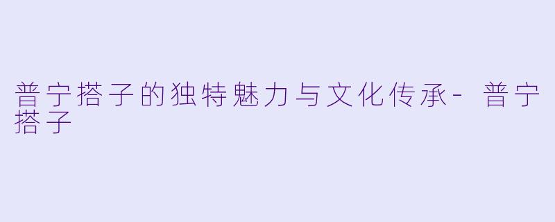 普宁搭子的独特魅力与文化传承
