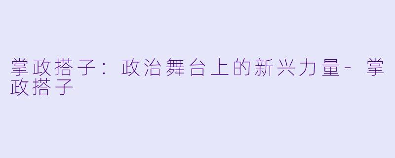 掌政搭子：政治舞台上的新兴力量-掌政搭子