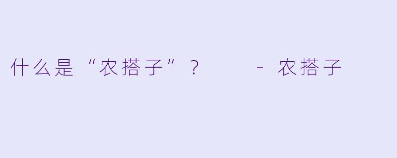 什么是“农搭子”？  