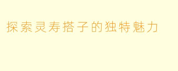 探索灵寿搭子的独特魅力