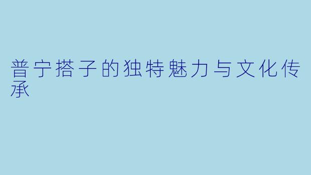 普宁搭子的独特魅力与文化传承