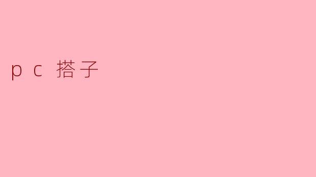 pc搭子