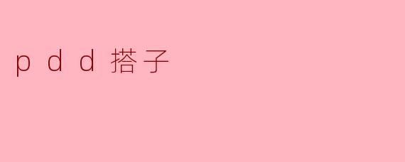 pdd搭子