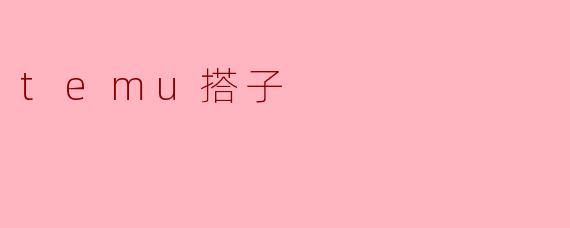 什么是“temu搭子”？****