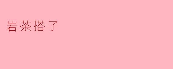 ### 岩茶搭子:品茶文化中的新风尚