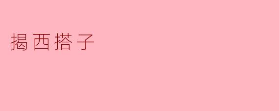 ### 揭西搭子的魅力与文化传承
