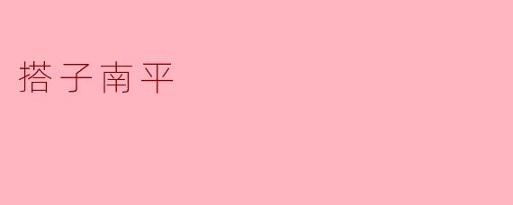 什么是“搭子南平”？  