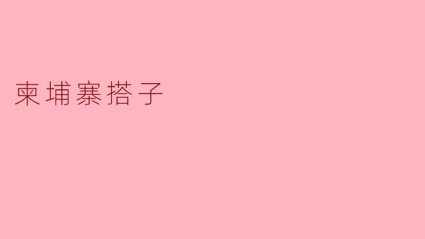 柬埔寨搭子