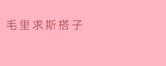 毛里求斯搭子