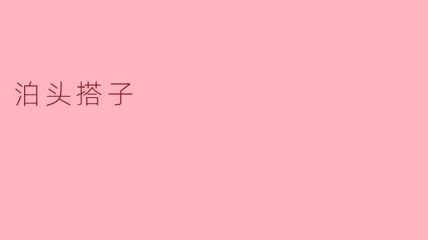 探索“泊头搭子”——传统与现代的交融