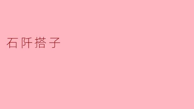 ### 探秘“石阡搭子”:传统文化中的美食艺术