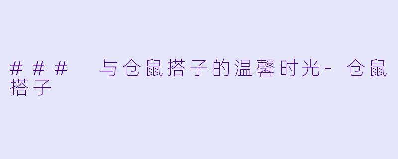 ### 与仓鼠搭子的温馨时光-仓鼠搭子