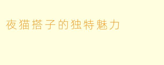 夜猫搭子的独特魅力
