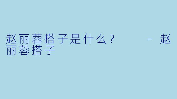 赵丽蓉搭子是什么？  