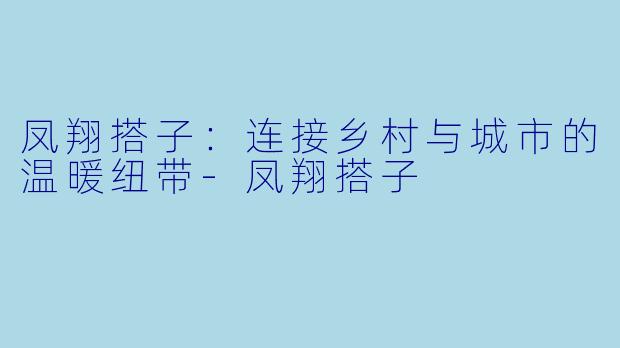 凤翔搭子：连接乡村与城市的温暖纽带-凤翔搭子
