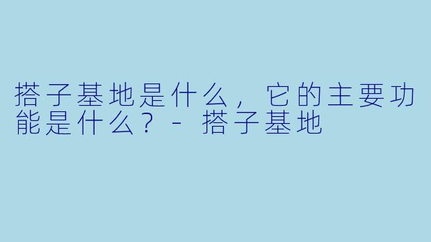 搭子基地是什么,它的主要功能是什么?