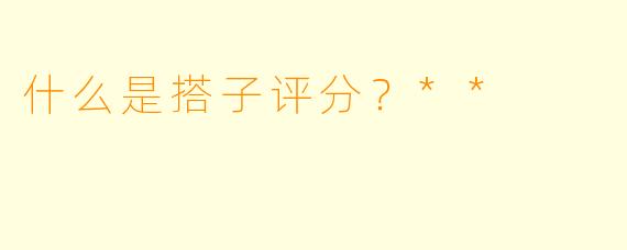 什么是搭子评分？**