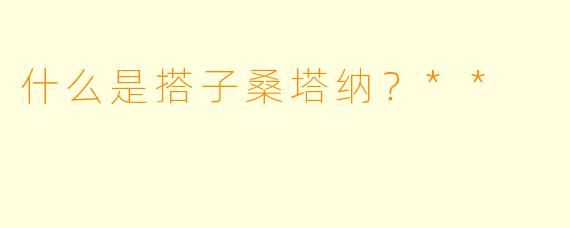 什么是搭子桑塔纳?**