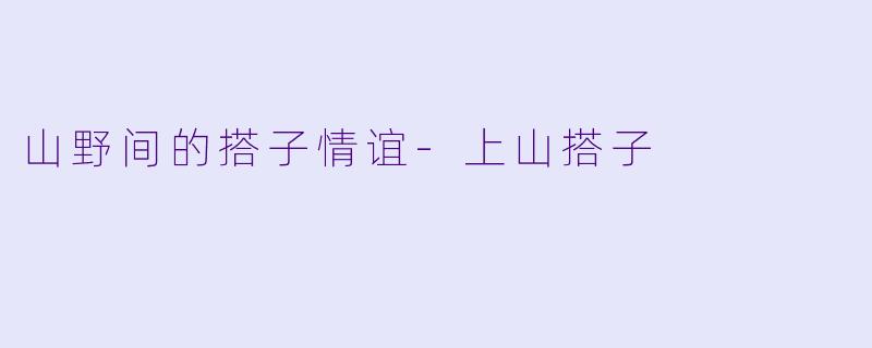 山野间的搭子情谊-上山搭子