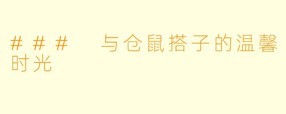### 与仓鼠搭子的温馨时光