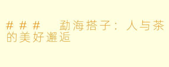 ### 勐海搭子:人与茶的美好邂逅