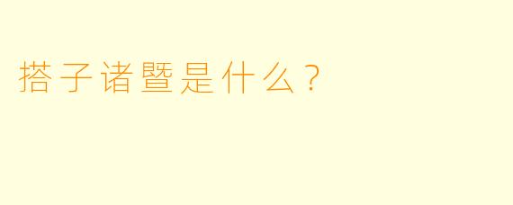 搭子诸暨是什么？  