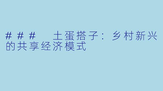 ### 土蛋搭子：乡村新兴的共享经济模式