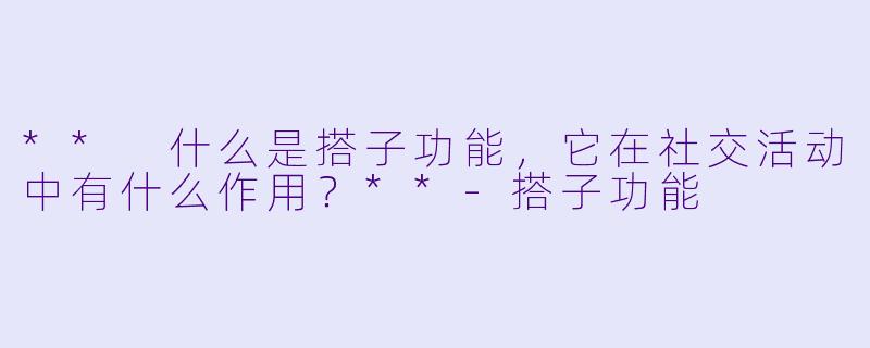 ** 什么是搭子功能,它在社交活动中有什么作用?**