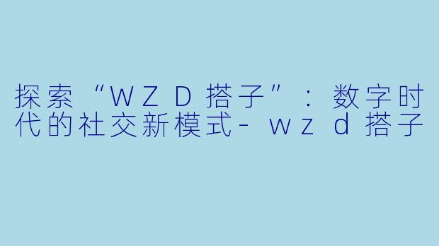 探索“WZD搭子”：数字时代的社交新模式-wzd搭子
