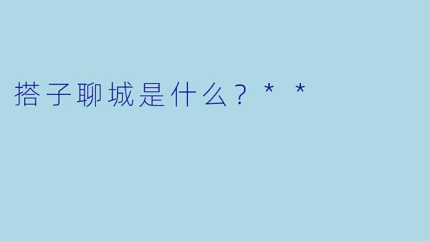 搭子聊城是什么？**